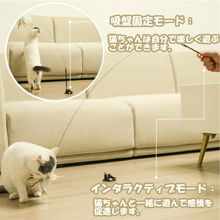 楽天市場 2個セット 猫 じゃらし 猫用 釣竿 羽 吸盤付き 取り外し可能 猫おもちゃ 送料無料 知育玩具 天然羽 おしゃれ かわいい 遊び道具 猫用 ストレス発散 運動不足 ペット用品 Musouka楽天市場店
