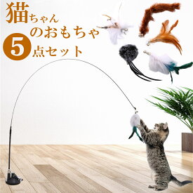 【動画あり 送料無料】猫 じゃらし 吸盤 固定 釣竿じゃらし 猫用 釣竿 5羽 交換用 吸盤付き 取り外し可能 猫おもちゃ 送料無料 知育玩具 天然羽 おしゃれ かわいい 遊び道具 猫用 ストレス発散 運動不足 ペット用品