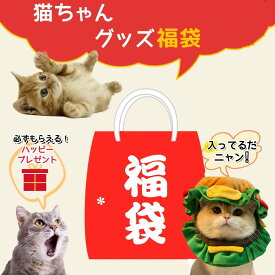 【2024 福袋】ペット 福袋 猫 おもちゃ セット ネコ用 福袋 5点 7点 10点 送料無料 ぬいぐるみ おもちゃの詰め合わせ マット クッション ブラシ ボール ネズミ 猫じゃらし トンネル 服 首輪 ボール エリザベスカラー かわいい 動物 ハッピーバッグ 便利 グッズ ケア