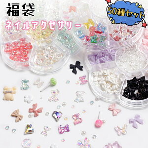 y2025 ܁ze lCA[g lCANZT[  8P[XZbg 50 lCfR[V fRp[c  lCp[c p[ { n[g 킢 ZtlC T f