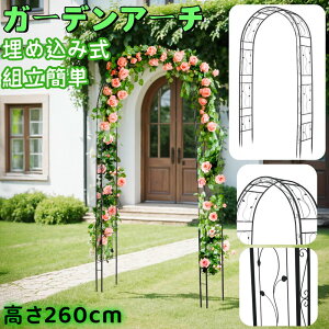 t[A[` X`[ K[fA[` oA[` [YA[` ߍݎ KNA[` S gݗĂ񂽂  f _ GKg ϋv i ppCv | t@j`