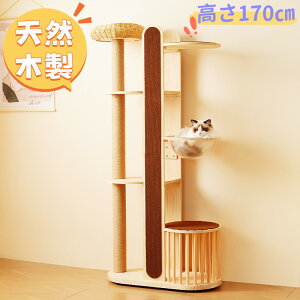 VRؐ Lbg^[ L^[ X u 173.5cm ҂݂ FDJvZ  ʋCQ y v 萫Q ܂Ƃx ȒP Lbgc[ lR^[ 