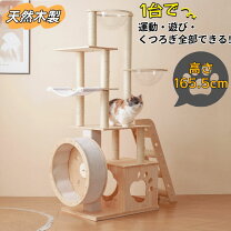 楽天市場】キャット ホイール 猫（キャットタワー｜猫用品）：ペット 