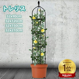 【楽天1位獲得】オベリスク アイアン トレリス バラ用 ガーデン 支柱 花支え 送料無料 つるバラ 薔薇 庭 ガーデニング 誘引 操作簡単 金属製 簡易組立式 高さ調節可能 つる性植物 つる花 ばら 菜園 園芸 耐候性 装飾 植物サポート 90CM 120CM 150CM 210CM