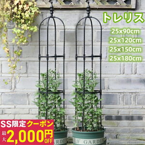 ySSő2000~OFFzyyV1ʊlz[90cm] [120cm] [150cm] [180cm] IxXN ACA gX op a25Z` K[f x Ԏx o KN  K[fjO U ȒP  ȈՑg