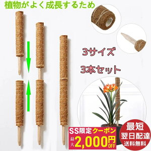 yő2000~OFFN[|zyZ[zy3{ZbgzRRXeBbN Xe x  A x |gX x \  ϋv RRibc |x Ax Ԃ A 