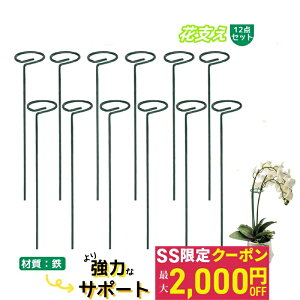 yő2000~OFFN[|zy12_ZbgzԎx Ԃ AT|[g S ͂ȃT|[g ϗtx U x xI t[x 40cm K[fjO _Ɨp |p |x ϗtAg