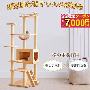 VRؐ Lbg^[ L^[ 165cm u FD  B ܂Ƃ|[ lR^[   o₷ Ki Lbg^[ ؐ Lxbh gȒP 