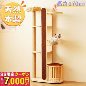 VRؐ Lbg^[ L^[ X u 173.5cm ҂݂ FDJvZ  ʋCQ y v 萫Q ܂Ƃx ȒP Lbgc[ lR^[ 