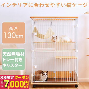 yő7000~OFFN[|zLQ[W LbgP[W ؐ 2i L P[W C t[ i` VR 1i2i\  Xgbp[t LX^[t og[ nbNt