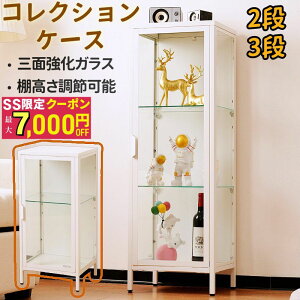 RNVP[X  KX 2i 3i Vv OʃKX I߉\ tBMAP[X rt x ȒP RNVVFt KXfBXvCLrlb