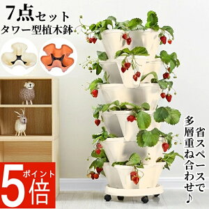 �u�ő�2,025�~�I�t�N�[�|���z�z���v�y7�_�Z�b�g�z �A�ؔ� �A�̓|�b�g �C�`�S �v�����^�[ �^���[�^ �ƒ�؉� ��؍͔| �L���X�^�[�t�� �g�ݍ��킹 ���u�� ���̐A�ؔ� ���w�d�ˍ��킹 �T�j�[��