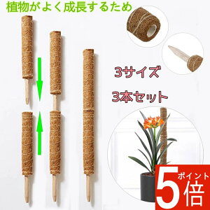 y|Cg5{zyZ[zy3{ZbgzRRXeBbN Xe x  A x |gX x \  ϋv RRibc |x Ax Ԃ A  ؐ 