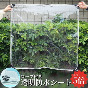 y|Cg5{zhV[g 10TCY PVC hV[g  J悯 悯 O V[g O [vt rj[ Jo[  h h ܂肽 RpNg |  A