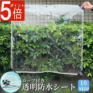 y|Cg5{zhV[g 10TCY PVC hV[g  J悯 悯 O V[g O [vt rj[ Jo[  h h ܂肽 RpNg |  A