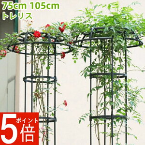 y|Cg5{zK[fjOpx IxXN gX x ȒP  ȈՑg 鐫A ATKI o K[f x Ԏx  KN  U AT|[g IxXNA[`