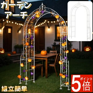 t[A[` X`[ K[fA[` o A[` [YA[` S  KNA[` @ׂȑ AWX^r  AJ[s  gȒP zCg i f |  