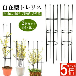 y|Cg5{zy2Zbgz gX op IxXN ACA K[f x Ԏx   o KN  K[fjO U ȒP  ȈՑg ߉\ 鐫