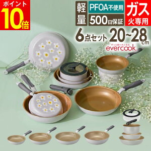 evercook �G�o�[�N�b�N �K�X��p �y�� �t���C�p�� 20cm 26cm 28cm ���E6�_�Z�b�g �ԕ��O���[ �h�E�V�V�� �^ �K�X�ΑΉ� �t���C�p�� �ł��t���ɂ��� ������ DOSHISHA �y�� �y�� PFOA�s�g�p