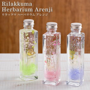 bN} n[oE AW ^ RbN} LCCg TGbNX san-x LN^[ ObY Mtg v[g CeA G ϗtA ̓ a { ChCW