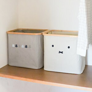 miffy ou[oXPbg MTCY IJg[ ^ oXPbg [ l炵 ֗ Vv