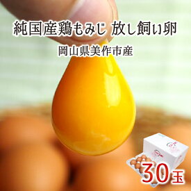 放し飼い卵 30個 純国産鶏 もみじ 岡山県美作市産 天真卵まん 赤玉 非遺伝子組換飼料 送料無料