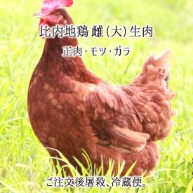比内地鶏 雌 大型 1羽 2羽 生肉(正肉 約1.3kg・もつ 約150g・ガラ 約550g/1羽) 秋田県大仙市産 むね/もも/ささみ/せせり/手羽先/皮/ハツ/レバー/砂肝/ガラ他