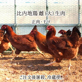 比内地鶏 雌 大型 1羽 2羽 生肉(正肉 約1.3kg・もつ 約150g/1羽) 秋田県大仙市産 むね/もも/ささみ/せせり/手羽先/皮/ぼんじり/ハツ/レバー/砂肝