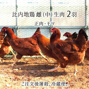 n{  ^ 1H 2H ( 2.2kgE 300g/1H) HcsY ނ////H//ڂ񂶂/nc/o[/
