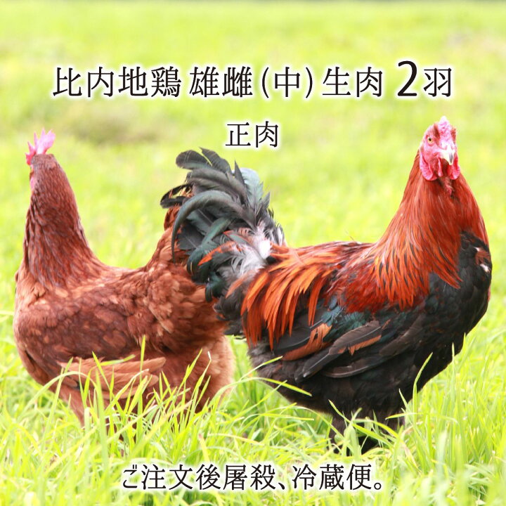 楽天市場 比内地鶏 雄 雌 中型 2羽 生肉 正肉 約2 3kg 秋田県大仙市産 むね もも ささみ せせり 手羽先 皮 ぼんじり 送料無料 産直 むすび