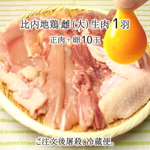 比内地鶏 卵の人気商品 通販 価格比較 価格 Com