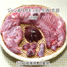 ジャンボウサギ 中型 半羽 生肉(正肉 約650g) 秋田県大仙市産 むね/もも/うで/はら/腎臓 国産 兎 ラパン 送料無料