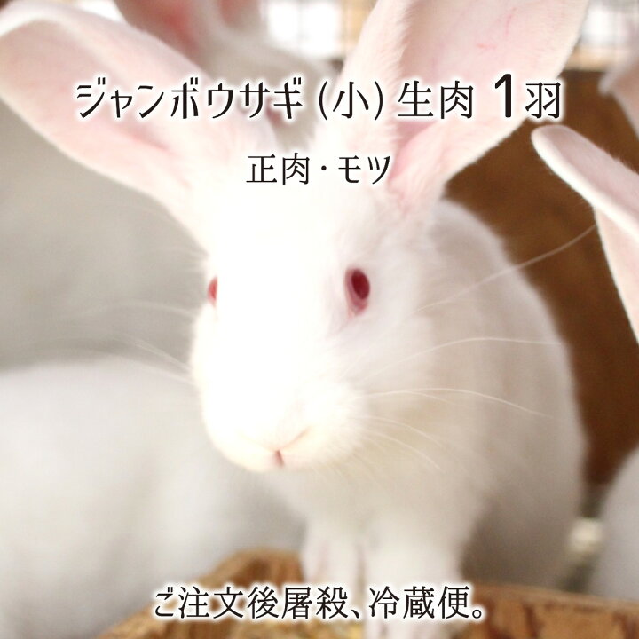 楽天市場 ジャンボウサギ 小型 1羽 生肉 正肉 約1 1kg もつ 約70g 秋田県大仙市産 むね もも うで はら ハツ レバー タン 腎臓 国産 兎 ラパン 送料無料 産直 むすび