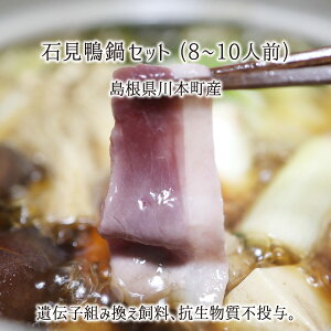 ΌZbg 4`5lO ނˁEXCX500g/݂200g/X[v300g {Y Ⓚ 