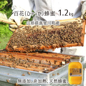 百花蜂蜜(糖度80以上) 無添加 非加熱 全原材料国産 天然 純粋蜂蜜 山形県真室川町産 2023年採蜜 1.2kg 送料無料