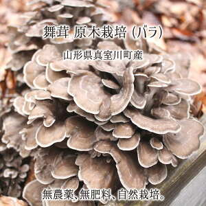 ؕ(o) 1kg 2kg 3kg R`^쒬Y _ 엿 R͔| n  }C^P 9{`10{ 