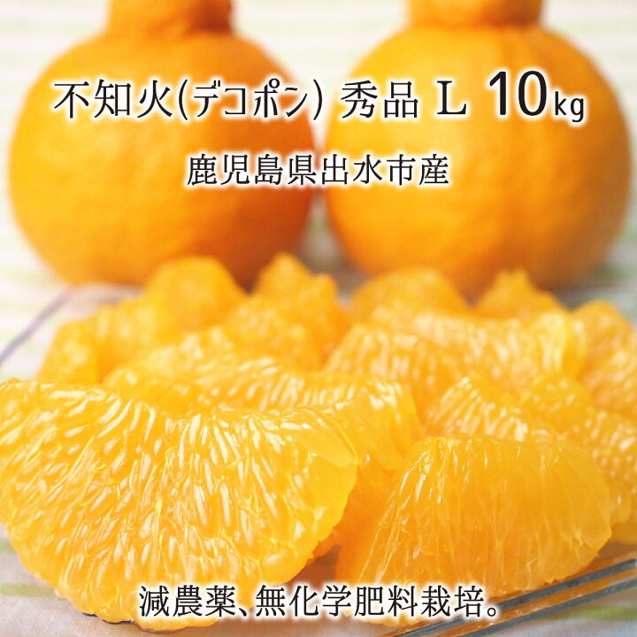 楽天市場 不知火 デコポン 秀品 L 10kg 減農薬 無化学肥料 特別栽培 鹿児島県出水市産 34 38玉 12月上旬 2月下旬 送料無料 産直 むすび 楽天市場 不知火 デコポン 秀品 L 10kg 減農薬 無化学肥料 特別栽培 鹿児島県出水市産 34 38玉 12月上旬 2月下旬 送料無料 産直 むすび