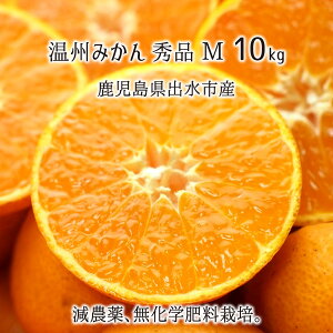 温州みかん 秀品 中玉 M 5kg 10kg 鹿児島県出水市産 減農薬 無化学肥料 特別栽培 ミカン 11月上旬〜12月中旬 送料無料