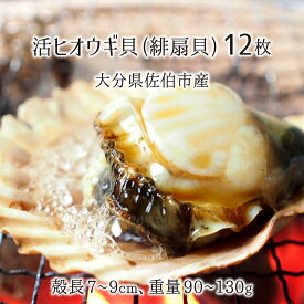 楽天市場 緋扇貝の通販 楽天市場 緋扇貝の通販