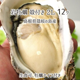 岩牡蠣(生食可) 2Lサイズ 12個 約4.5kg 島根県隠岐の島産 (体量351～400g、殻長15～20cm) カキナイフ付 岩カキ 5月下旬～6月中旬 送料無料