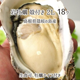 岩牡蠣(生食可) 2Lサイズ 18個 約7kg 島根県隠岐の島産 (体量351～400g、殻長15～20cm) カキナイフ付 岩カキ 5月下旬～6月中旬 送料無料