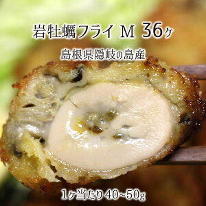 ≲ytC MTCY 12 24 36 B̓Y (dʁF35`45gA̒F7`9cm) Ⓚ JL JLtC 