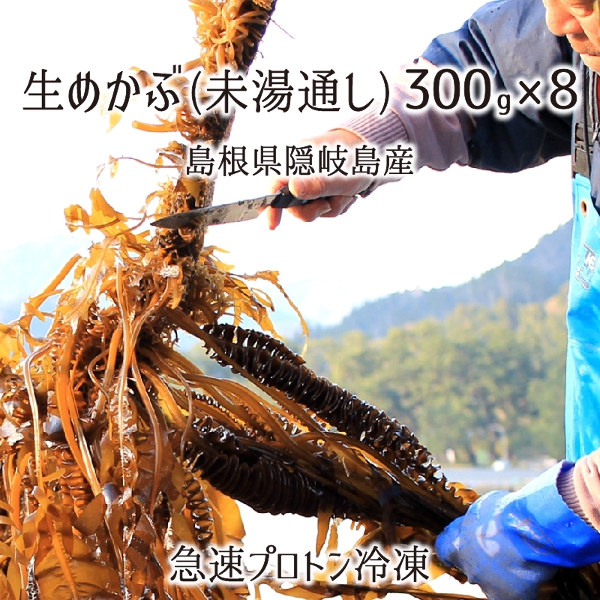 生めかぶ(未湯通し) 約2.4kg(約300g×8パック) 島根県隠岐の島産 メカブ 急速プロトン冷凍 送料無料