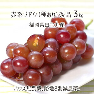 Ny5tc146jfyg6m Ny5tc146jfyg6m