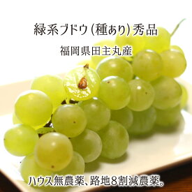 緑系葡萄詰合せ マスカット等 秀品 2kg 3kg 4kg 種あり葡萄 ハウス無農薬 路地8割減農薬 無化学肥料栽培 4〜12房 福岡県田主丸産 ブドウ 7月下旬〜9月中旬 送料無料