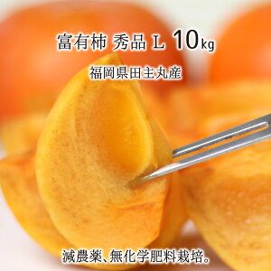 xL` Gi L 3kg 5kg 10kg _ w엿 cےY ` Ê` 10`40 11{`1{ 