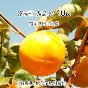 xL` Gi M 3kg 5kg 10kg _ w엿 cےY ` Ê` 12`46 11{`1{ 