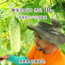 糠塚きゅうり 秀品 3〜10kg 無農薬 無化学肥料 有機栽培 青森県八戸市南郷産 オーガニック キュウリ 八戸伝統野菜 送…