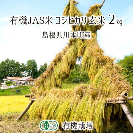 有機JAS認証米 コシヒカリ 玄米 2kg 農薬不使用 有機栽培 はで干し 天日乾燥 自家採種 島根県川本町 2023年産 単一生産者米 送料無料