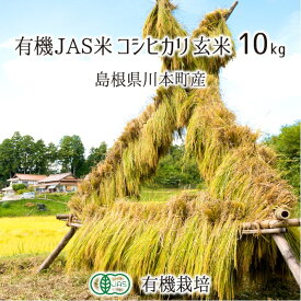 有機JAS認証米 コシヒカリ 玄米 10kg 農薬不使用 有機栽培 はで干し 天日乾燥 自家採種 島根県川本町 2023年産 単一生産者米 送料無料